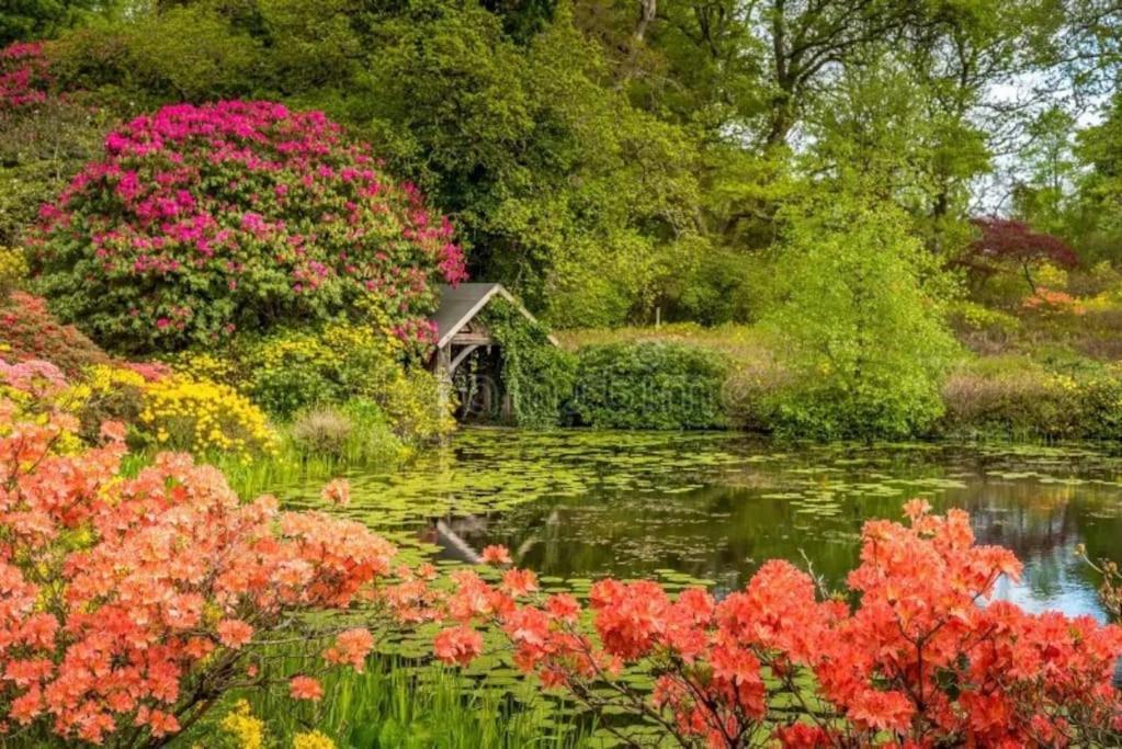 The Coach House - Bargany Villa Girvan Luaran gambar